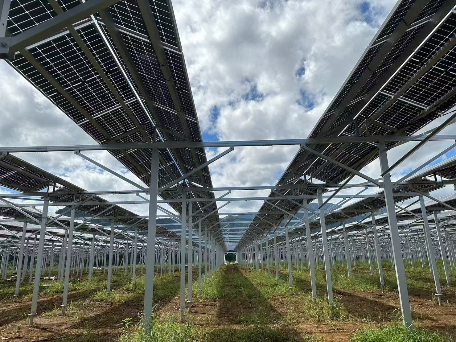 Žemės ūkio pastogės paramos privalumai